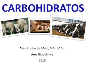 Carbohidratos