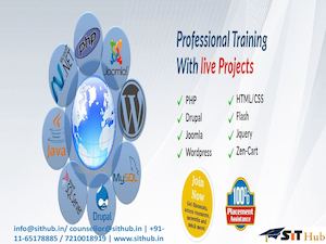 Web Designing In Uttam Nagar,Web Designing training, course, institute in uttam nagar, Janakpuri - sithub.in