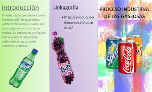 Proceso Industrial De La Gaseosa