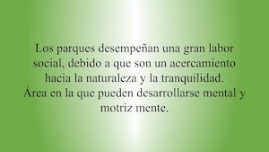 Mal Estado De Los Parques
