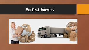 Perfect Movers
