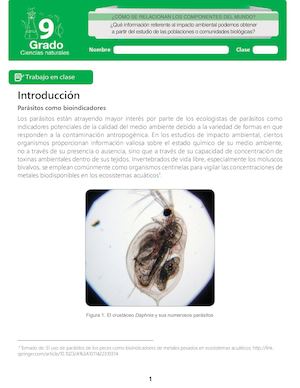 Actividad ¿Cómo se relacionan los componentes del mundo?