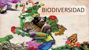 Diapositiva Biodiversidad