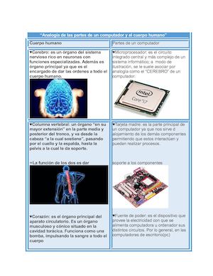 Analogía De Las Partes De Un Computador Y El Cuerpo Humano