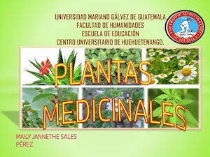 Plantas Medicinales
