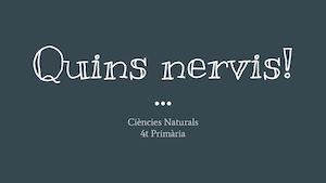 Quins Nervis!