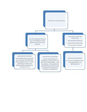 Relaciones Intraespecificas Mariana Pino