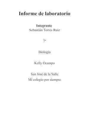 Formato Informe De Laboratorio