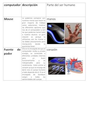 Analogia Del Cuerpo Humano Y Pc