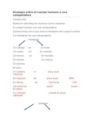 Analogía Entre El Cuerpo Humano Y Una Computadora