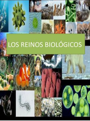 Los Reinos Biológicos