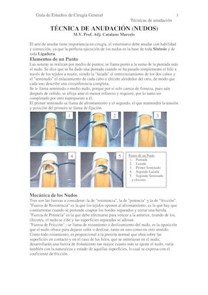 15 Tecnicas De Nudos 2014