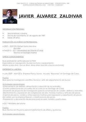 Cv Javier Alvarez Zaldivar