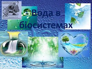 Вода в біосистемах
