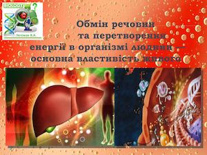 Метаболізм