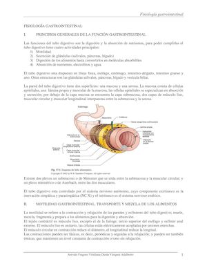 Fisiologia Gastrointestinal
