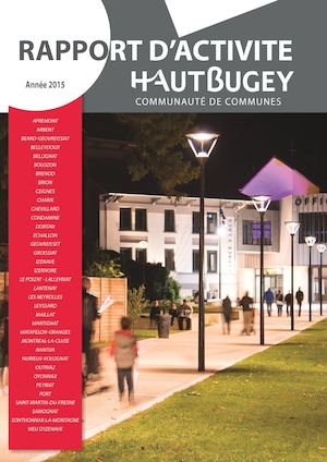Rapport Activités 2015