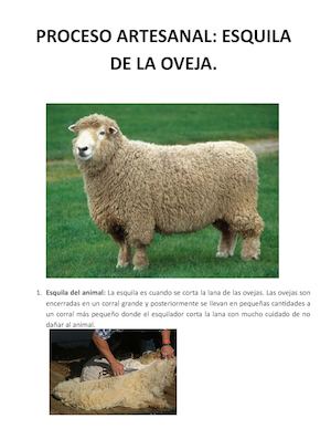 Proceso Artesanal De La Esquila De La Oveja
