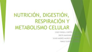 Nutrición, Digestión, Respiración Y Metabolismo Celular