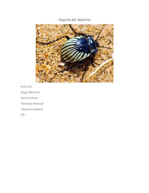 Vaquita Del Desierto