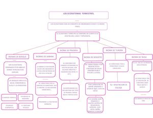 Maria Alejandra Mapa Conceptual