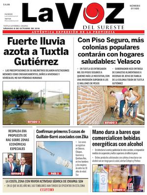 Diario La Voz Del Sureste