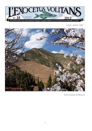 Exocétus Volitans N° 29