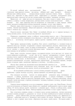 Бим. Бунин А.Н.