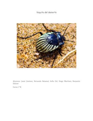 Vaquita Del Desierto