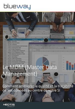 Livre Blanc Mdm