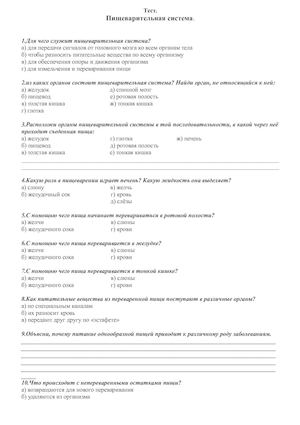 пищеварительная система