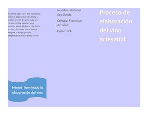 Proceso De Elaboración Del Vino Artesanal
