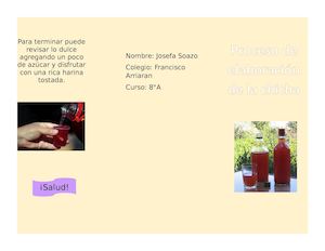 Proceso Productivo De La Chicha