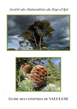 Guide Des Conifères De Vaucluse Snpa