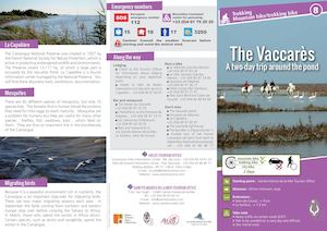 Circuit 8 : The Vaccarès A two-day trip around the pond