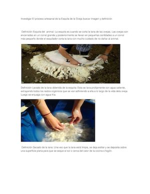 Esquila De La Oveja