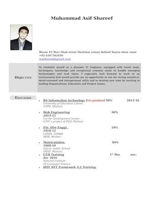 Sample Resume for IT