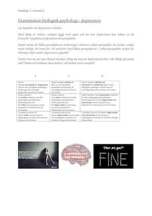 Examination Biologisk Psykologi Depression