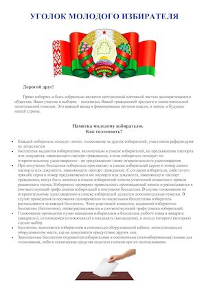 Памятка молодого избирателя