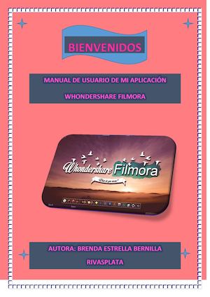 Manual De Usuario De Aplicación De Valiente