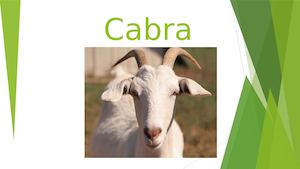 Cabra