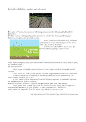 Article Cueillette Mp Octobre 2016