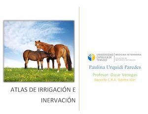 Atlas de irrigación e inervación