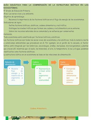 Guía Didáctica N°1 Grado V° Primaria