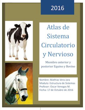 Atlas sistema circulatorio y nerviosos