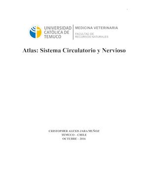 Atlas: Nervios y Arterias de los Miembros (Equino y Bovino)