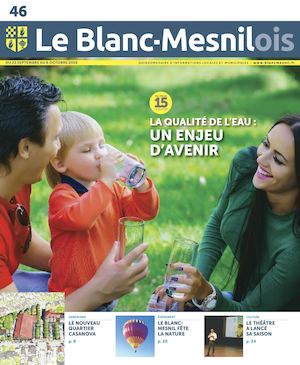 Le Blanc-Mesnilois N°46