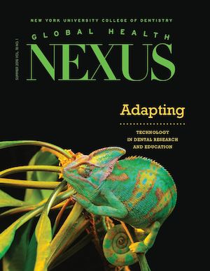 Global Health Nexus, Summer 2016: Adapting
