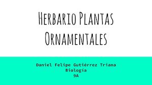 Herbario Plantas Ornamentales