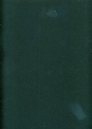 El Príncep dels embolics